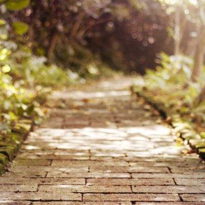 mg娱乐电子游戏官网截图